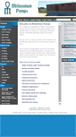 Mobile Screenshot of millpumps.co.za